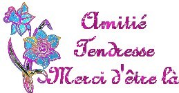 amitié tendresse....